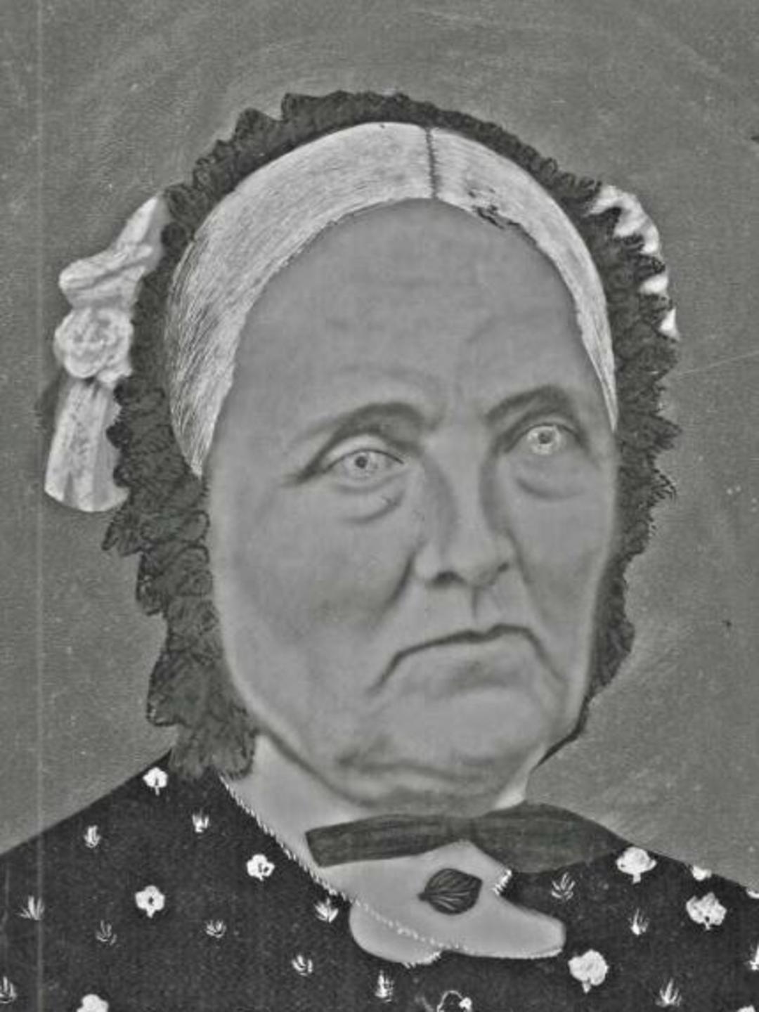 Sophia Burnham Mead (1812 - 1898) Profile